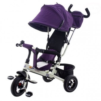 Tricicleta Pentru Copii T306F - Violet