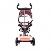 Tricicleta cu sezut reversibil Pentru Copii, Sun Baby 017 Fresh 360 - Pink